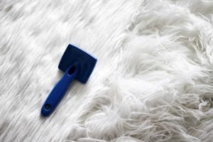 Laundry Karpet Bulu, Layanan Jasa Terbaik, Profesional dan Terpercaya