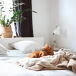 Layanan Jasa Pencucian Spring Bed dan Cara Memesan