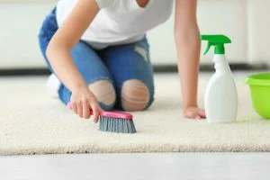 Penggunaan Jasa Cuci Karpet Express, Kelebihan dan Kekurangannya