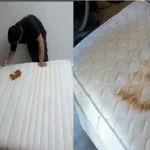 8 Alasan Kenapa Anda Harus Menggunakan Jasa Cuci Springbed