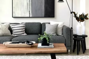 Jasa Cuci Sofa Cibubur, Ini Dia Alasan Mengapa Anda Harus Menjaga Kebersihannya!