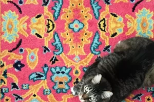 Vendor Jasa Cuci Karpet Bekasi, Harga Murah, Berpengalaman!